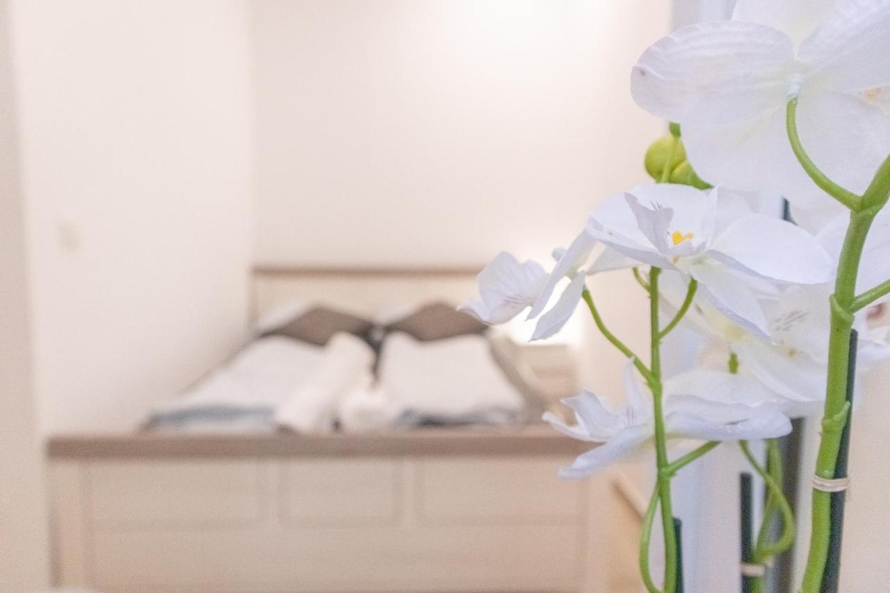 Beautiful Studio Near U1 Reumannplatz - 9 Min From City Center * Wiedeń